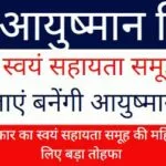 स्वयं सहायता समूह