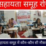 Swayam Sahayata Samuh Job जानें स्वयं सहायता समूह में कौन-कौन सी नौकरी निकली है